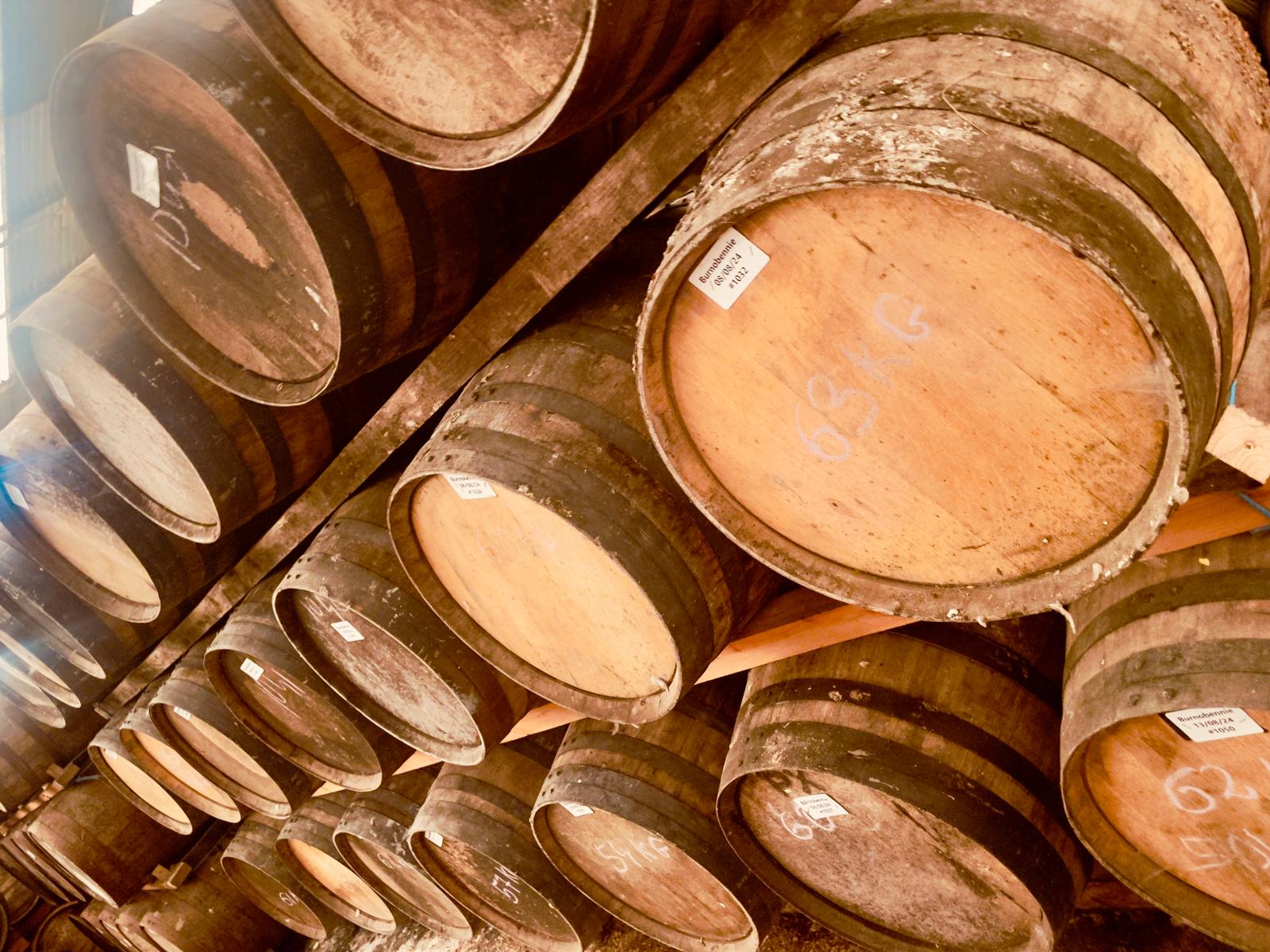 Burn O'Bennie casks maturing